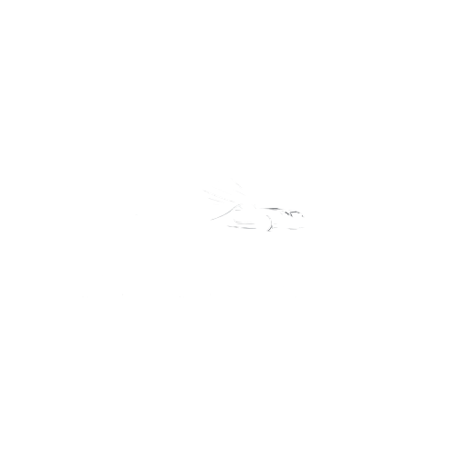 Sıla Otomotiv Logo